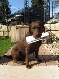 Die Zeitung wird immer selber getragen